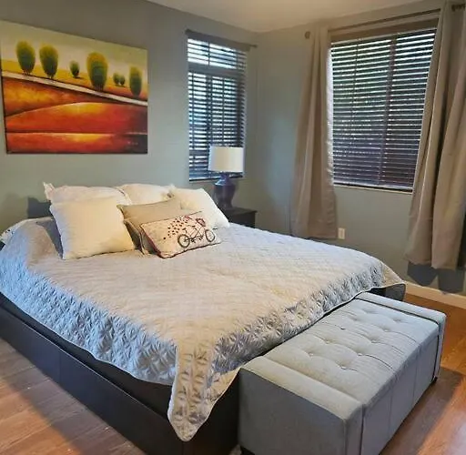 D&N Property Rental