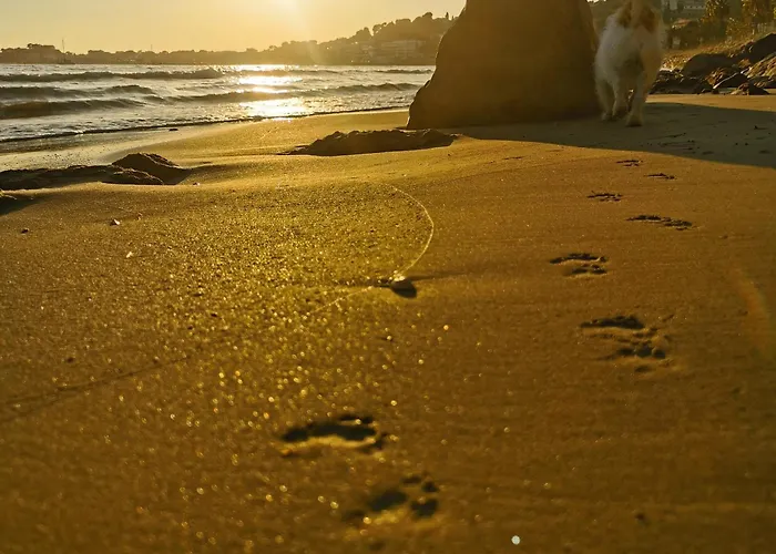Belazur Entre Plage Et Port