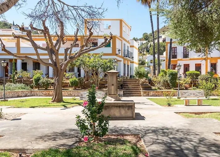 Toque Andaluz Zarzas