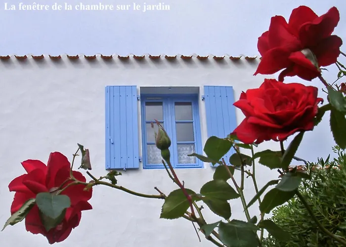 Maison De Vacances A L'Ile D'Yeu - Les Genets