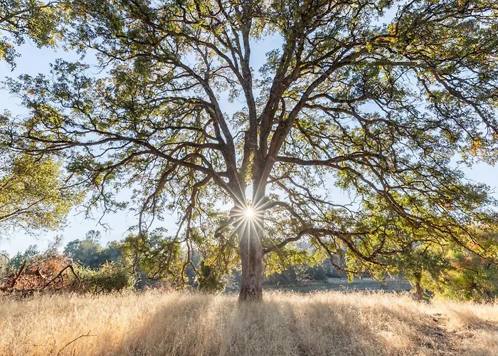 Rolling Oaks Ranch - 200 Acres Of Lakeside Beauty & Countryside Serenity