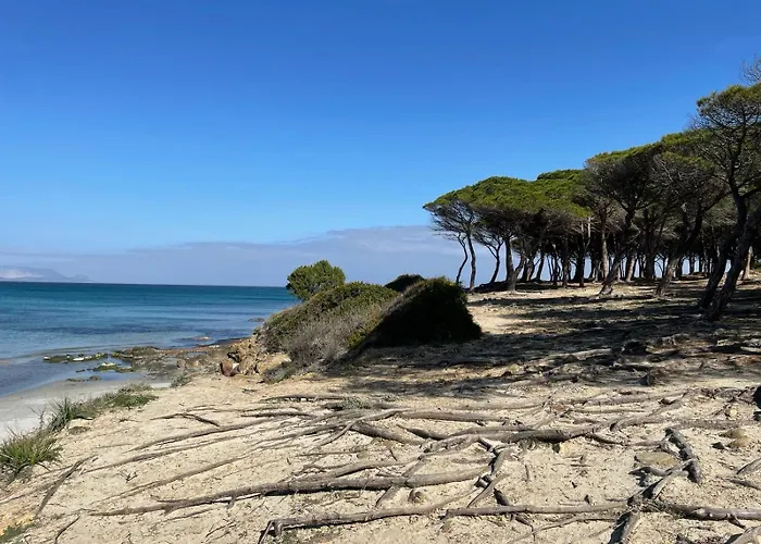 Sorres De Mare
