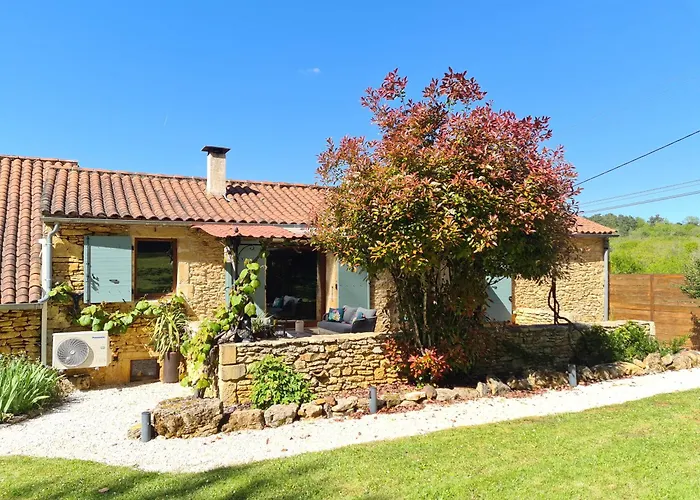 Larroque Haute Gites