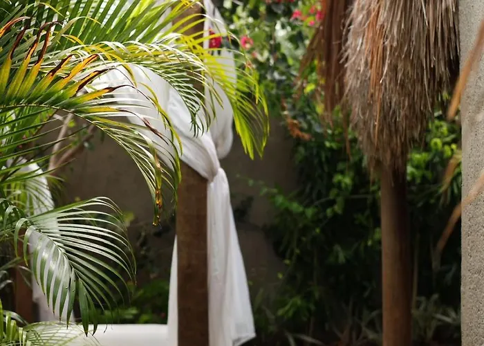 Bóróró Vida- Villas Eco Boutique- Milagres, tatuamunha