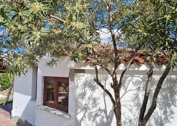 Villa Sa Mama