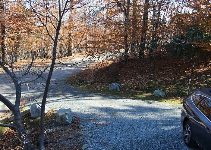 Cozy Cabin Walkable To Beech Mt Resort