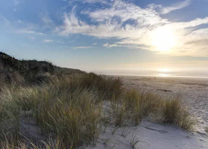 Beach Escape