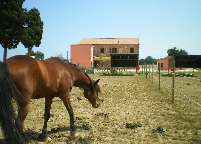 Conero Ranch