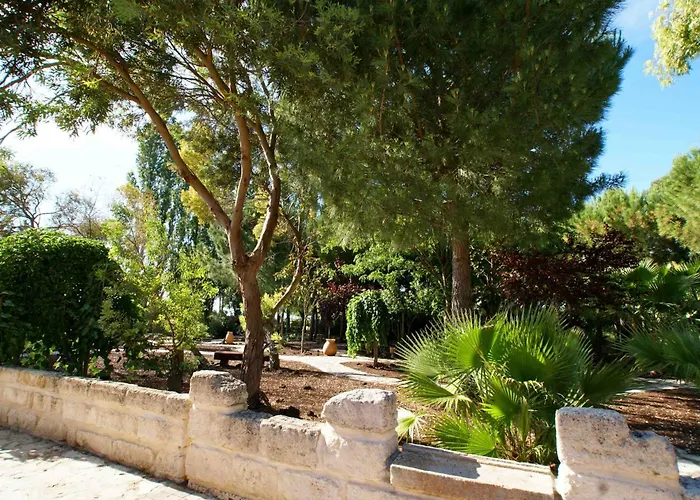 L'Oliveraie De Paul