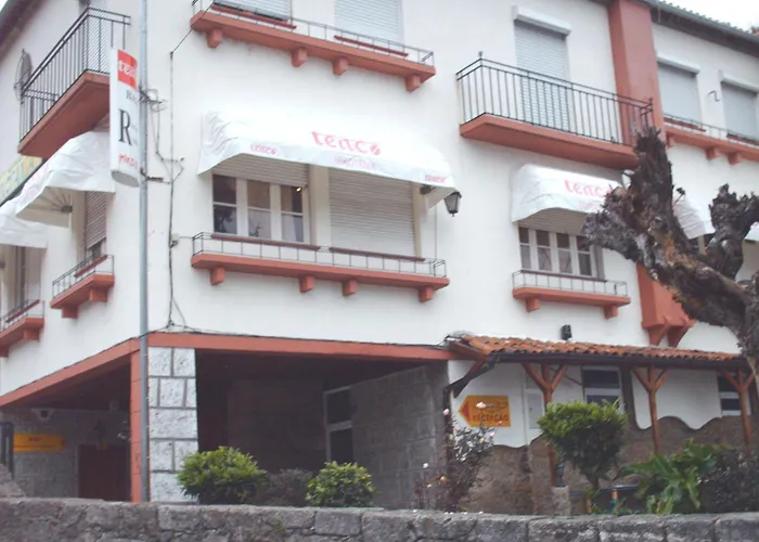 Mikotania