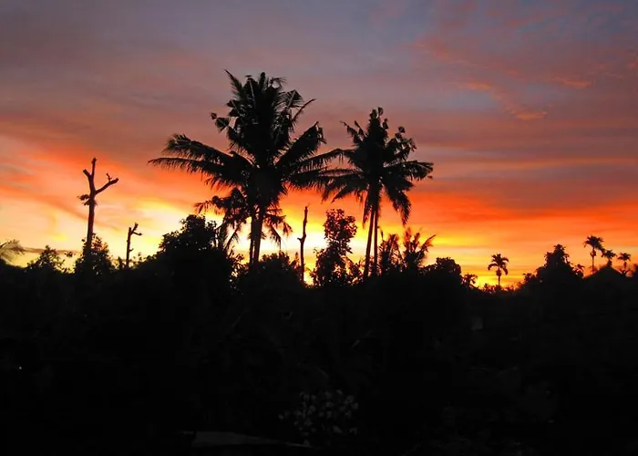 Nyoman Murjana Homestay