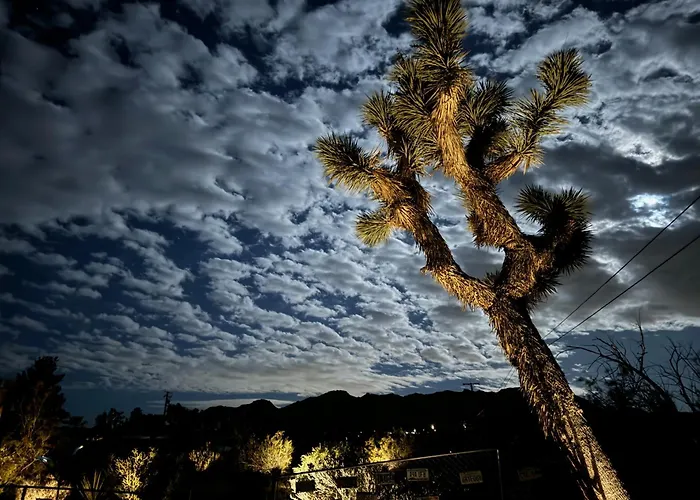 10 Minutes To Jtnp - Saltwater Float Pool, Hot Tub, Telescope, Fireplace And Views