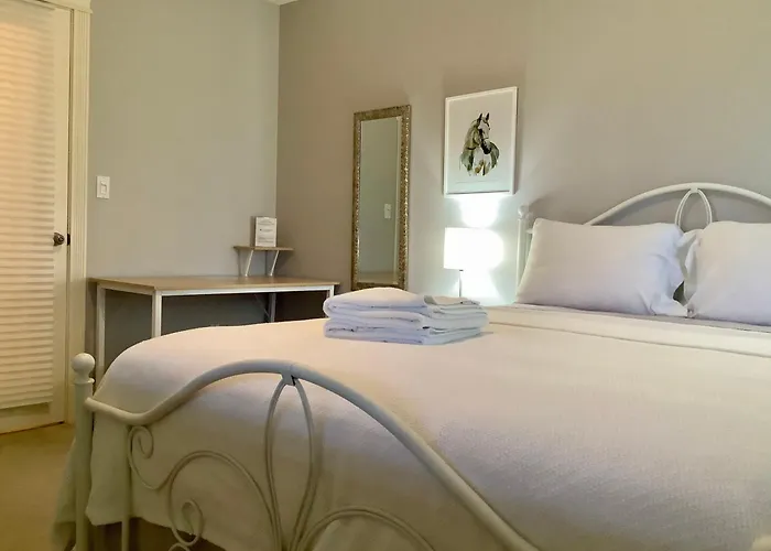 Neckpoint Treasure Bnb