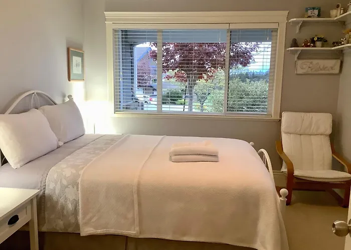 Neckpoint Treasure Bnb