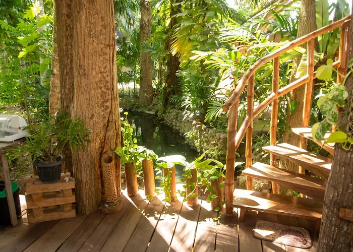 Dumaguete Oasis Treehouse, Near Airport And Mall, Beside Magsaysay Elementary School