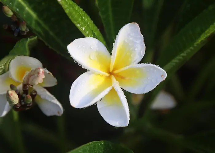 'Stay In Carrara' A Private Guest Suite Not A Share House