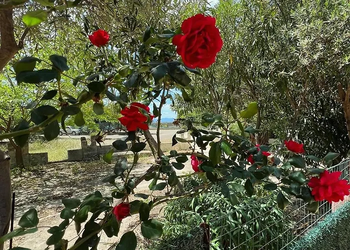 Villa Azzurra Fronte Mare