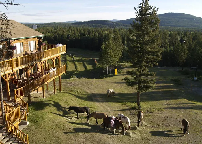 Spruce Hill Resort & Spa