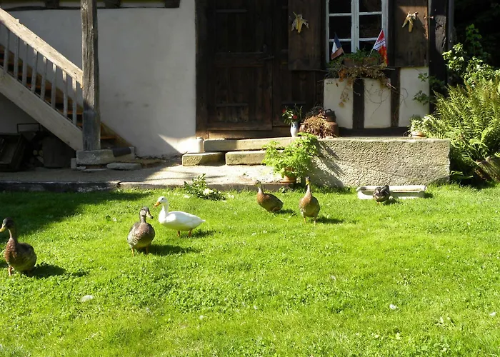 La Ferme De Marie
