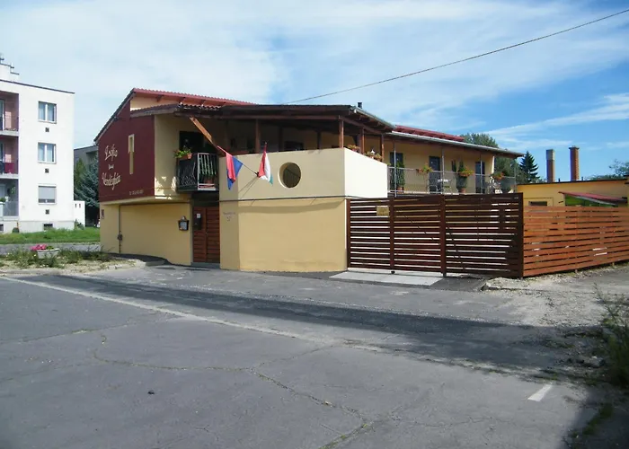 Zsofia Panzio Papa