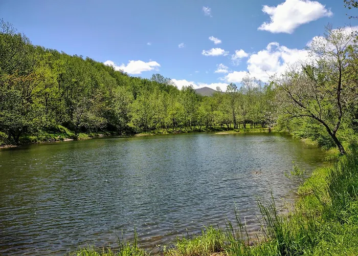 Graves Mountain Farm & Lodges