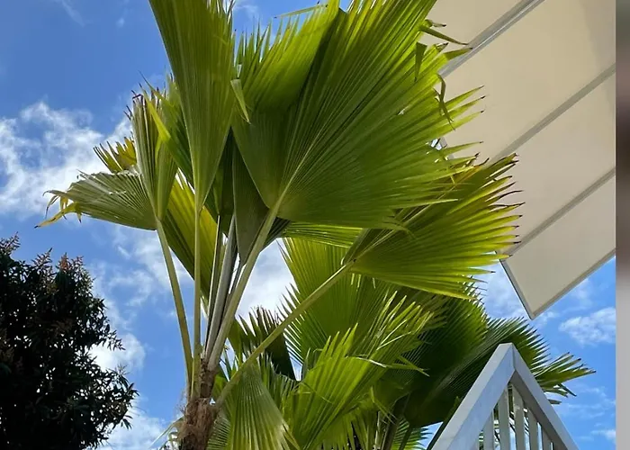 Mar Baltico