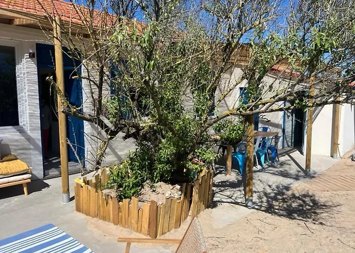 Cabanon Boheme Les Pieds Dans Le Sable Et En Premiere Ligne De Mer