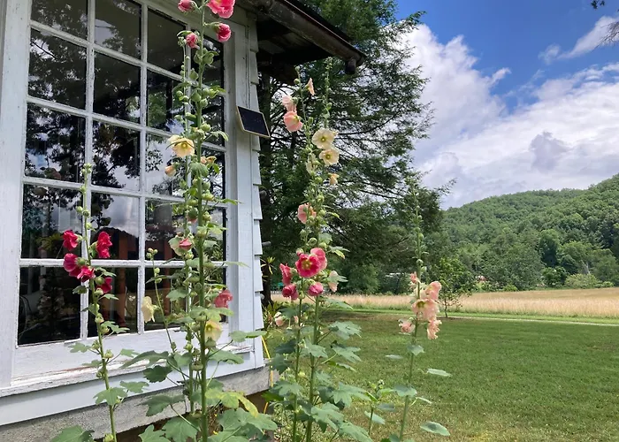 Gorgeous Cabin Stay Near I-77, Views, Antiques, Wi-Fi, Wonderful Experience For 2!