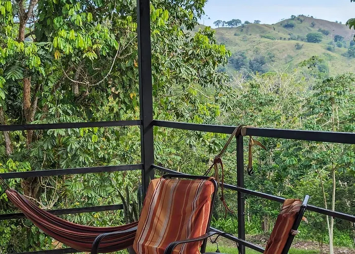 Rainforest Lodge Del Rio