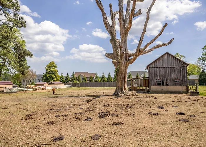 Watch Deer From A Farm Cottage