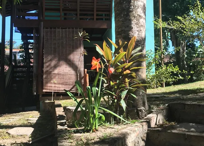 Vila Sofia Chales