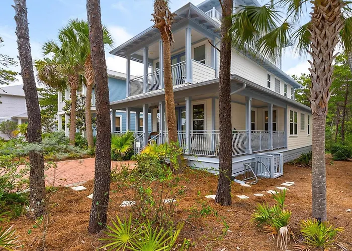 Palms And Pines