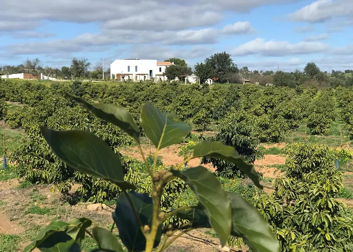 Tavira-Quinta Da Janela Azul