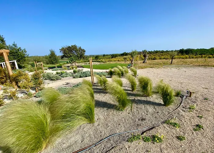 Tavira-Quinta Da Janela Azul