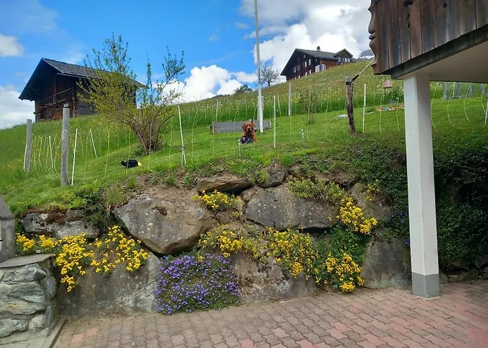 Chalet Pfyffer - Mountain View
