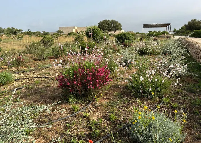 Ficomoro Farm