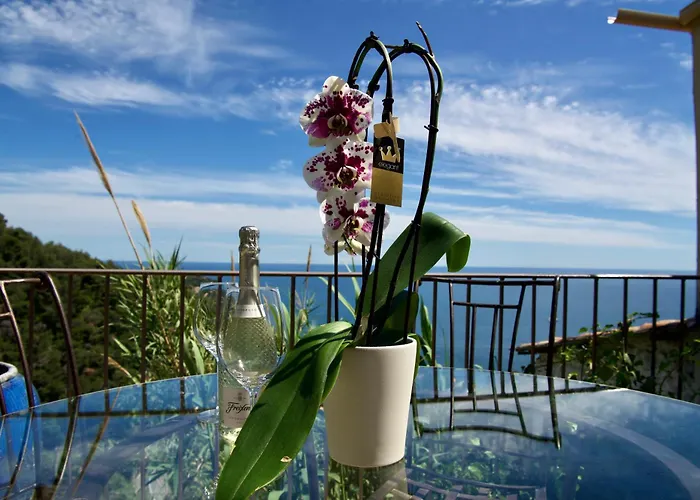 Petit Coin De Paradis A Cote De Monaco