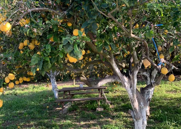 La Caccetta