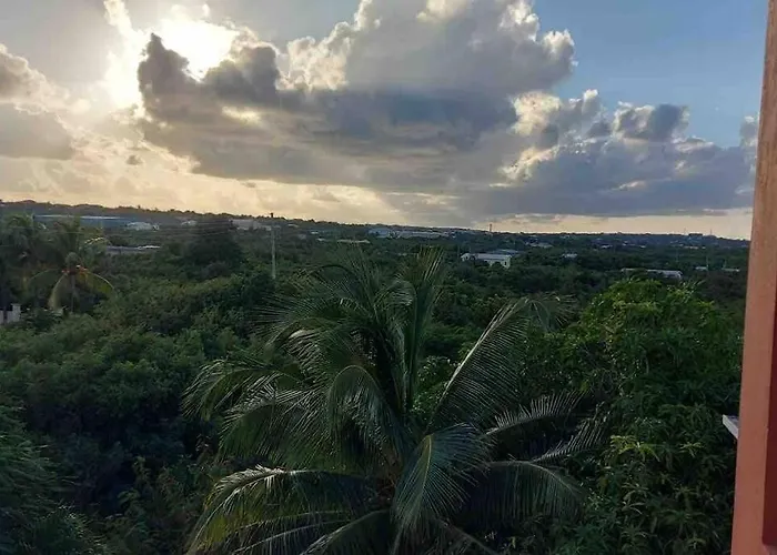 Thrush Nest View Studio Apartment