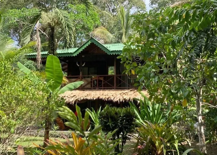 Punta Uva Puerto Viejo Beach Front House With Swimming Pool