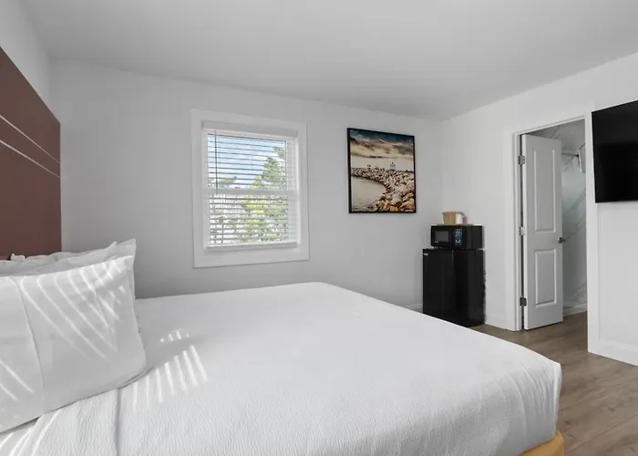 Safari Apartments