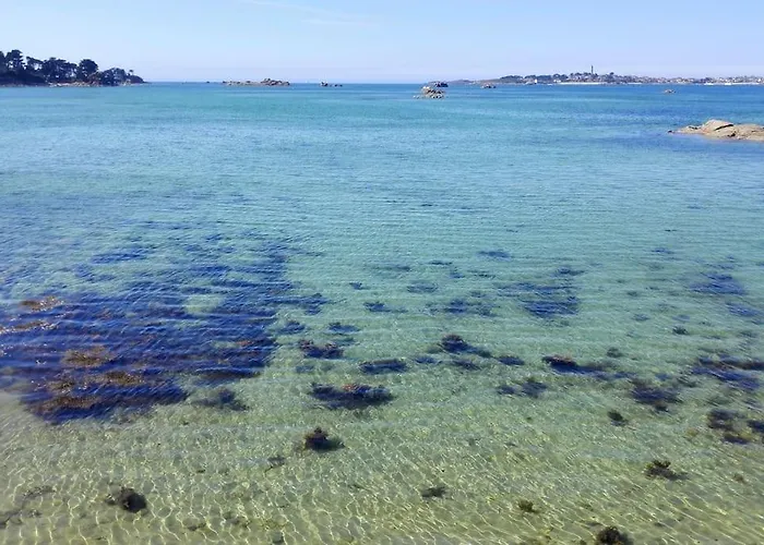 Roscoff 2 Pieces Classe 2 Etoiles, Petite Terrasse, Dans Le Centre Historique