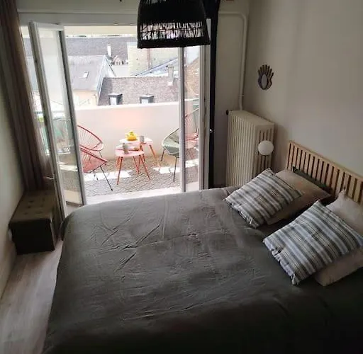 Appartement Plein Centre Avec Terrasse