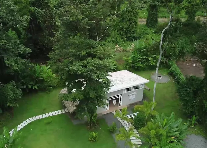 Sonora Jungle & Yoga Retreat