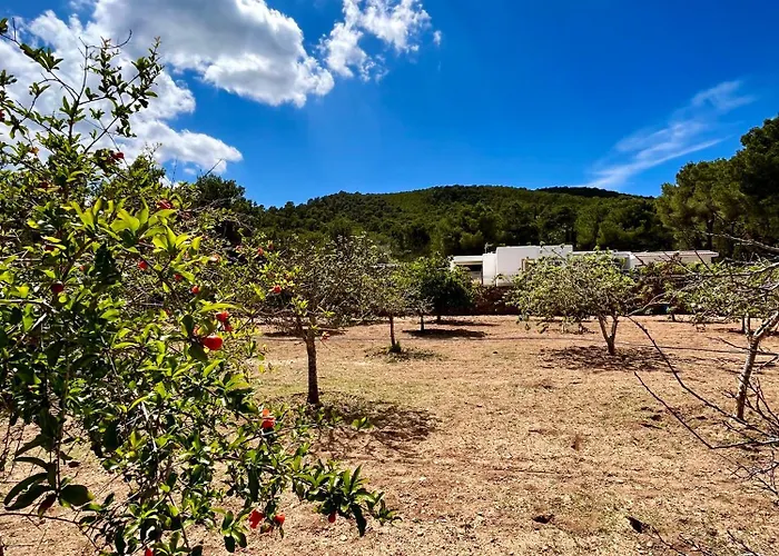 8 Person Ibiza Villa With Private Pool - Walk To Amnesia & Unvrs! - Can Rafa