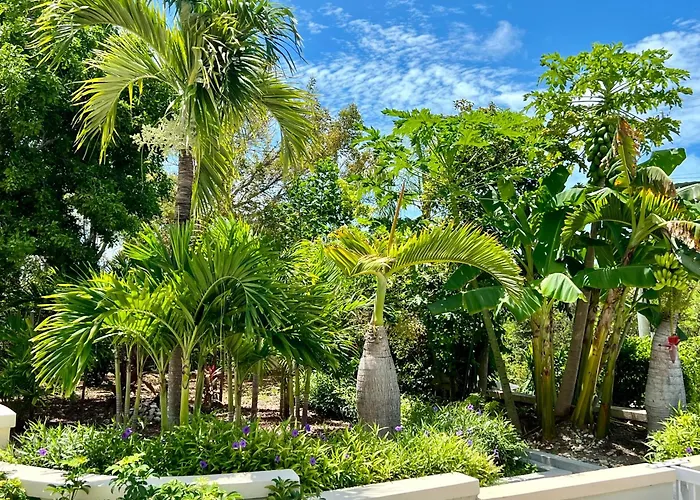 Extra Spacious Oceanview Condo 5 Min From Pristine Beach
