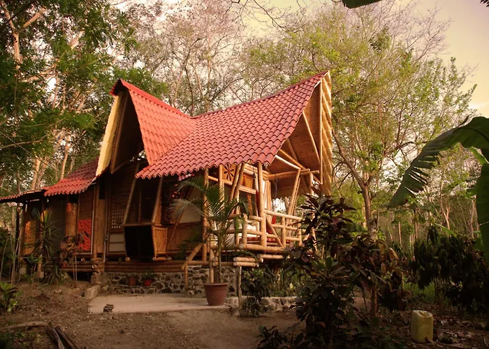 Rio Muchacho Organic Farm