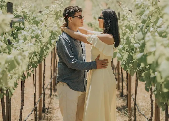 Quinta Nicolas Valle De Guadalupe