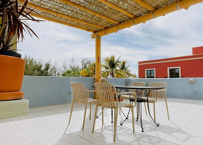 Estudio Con Terraza