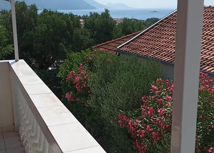 Jamm Mare E Monti